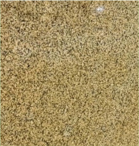 Merry Gold Granite