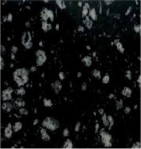 Coin Black Granite
