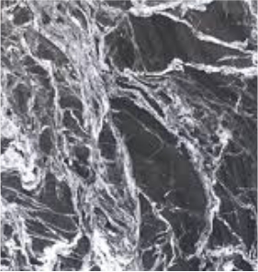 Titanium White Granite